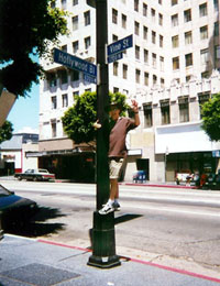 At the famous Hollywood & Vine